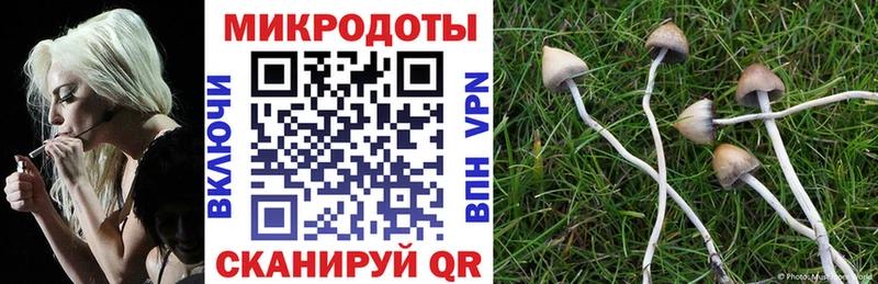blacksprut маркетплейс  Мосальск  Галлюциногенные грибы GOLDEN TEACHER 